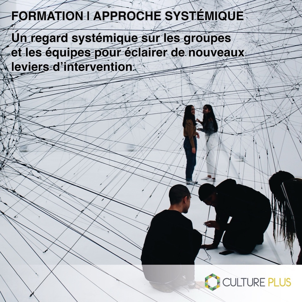 Formation : Un regard systémique sur les groupes et les équipes