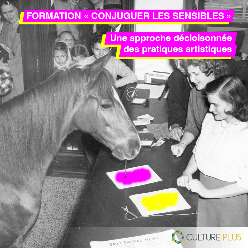Formation : Conjuguer les sensibles : une approche décloisonnée des pratiques artistiques