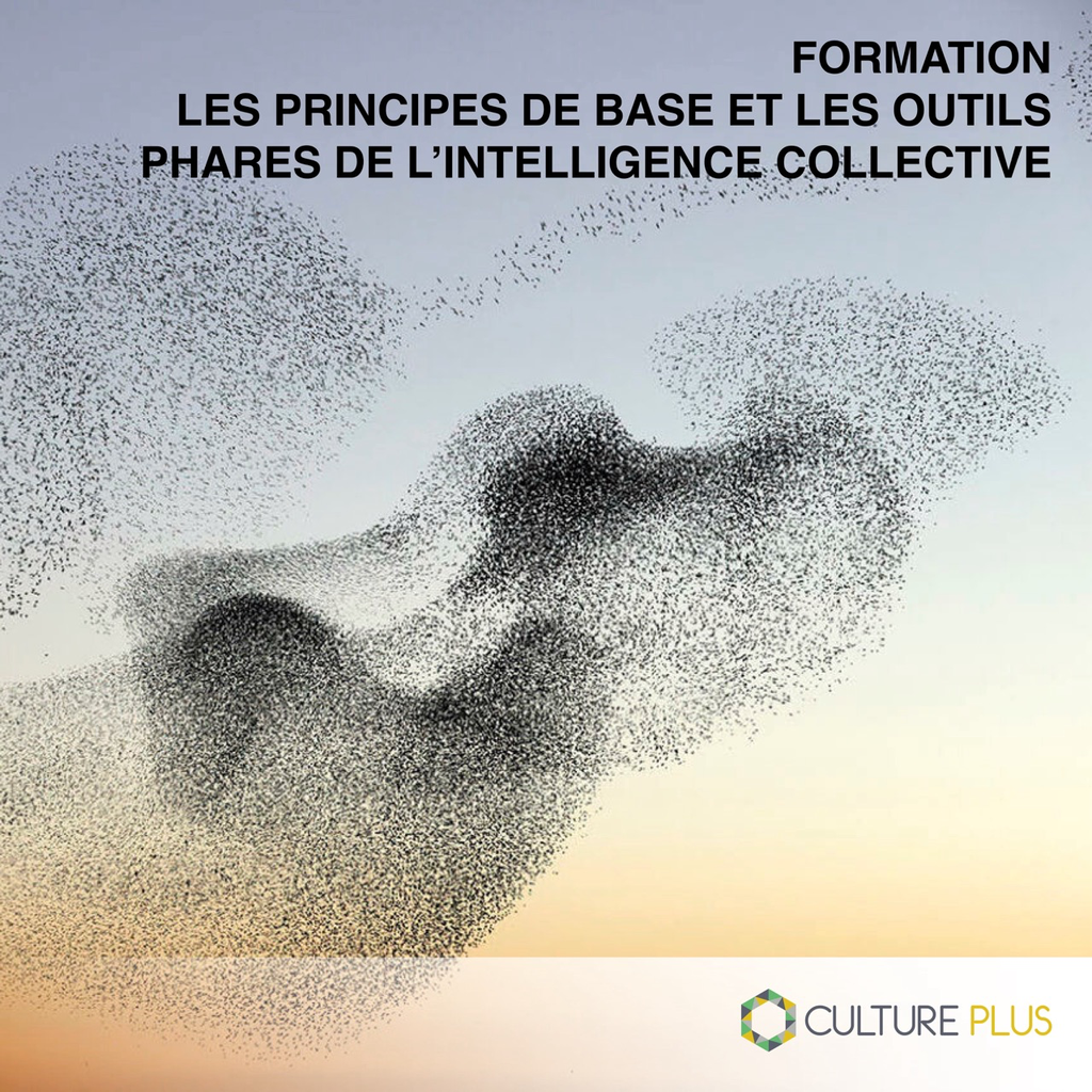 Formation - Les principes de base et les outils phares de l’intelligence collective