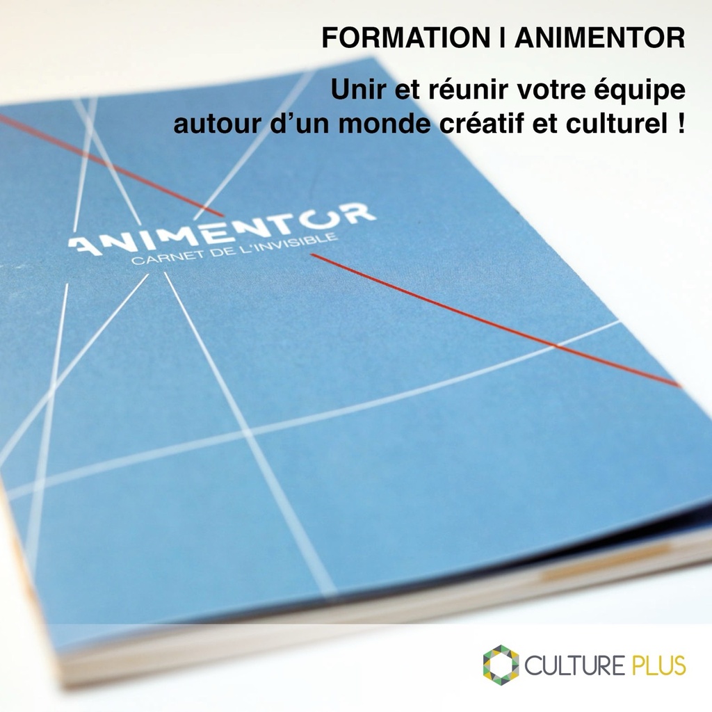 Formation : Animentor