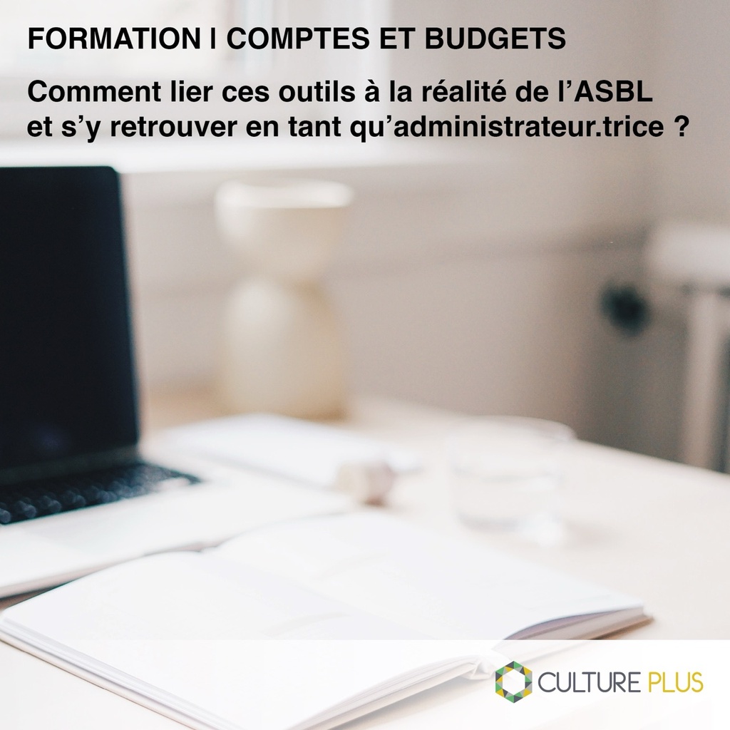 Formation : Comptes et budgets