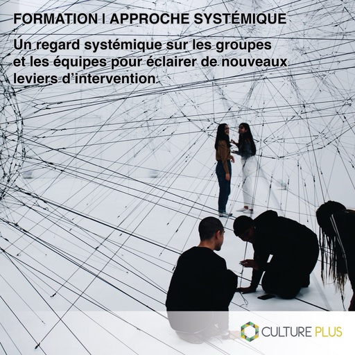 Formation : Un regard systémique sur les groupes et les équipes