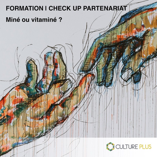 Formation : Check-up partenariat