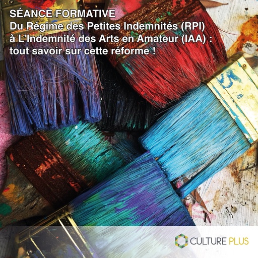 Formation : Du Régime des Petites Indemnités (RPI) à L’Indemnité des Arts en Amateur (IAA)