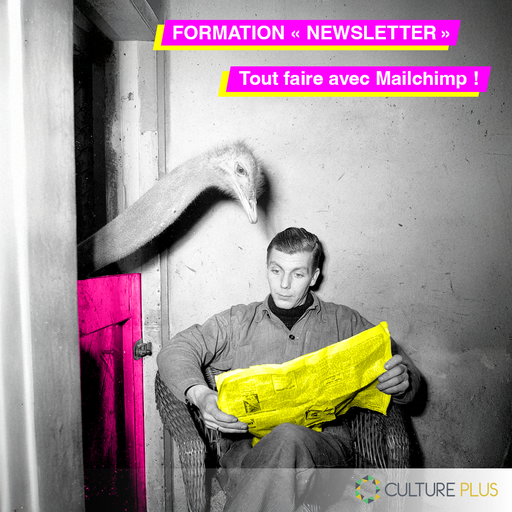 Formation : Newsletter